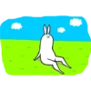 Rabbit With Beautiful Legs 5