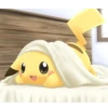 POKEMON 7