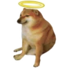 Perrito Sugoi 5