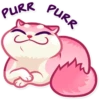 Pussy Cat 6