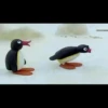pingu 5