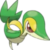 5th Gen Pokémon 5