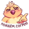 pepelok 5