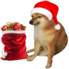 Perrito Sugoi 6