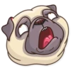 Pug Power 9