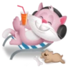 Pinkat 6