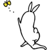 Rabbit With Beautiful Legs 8