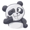 PandaS 6
