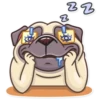 Pug Power 10
