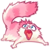 Pussy Cat 8