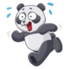 PandaS 8
