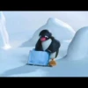 pingu 8
