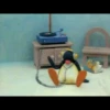 pingu 9