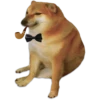 Perrito Sugoi 9