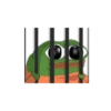 pepeJAM 8