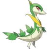 5th Gen Pokémon 12
