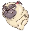 Pug Power 11