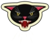 playful cat 17