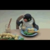 pingu 12