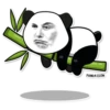 PandaElon 9
