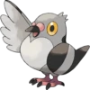 5th Gen Pokémon 13