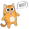 Puppy Kitte 7