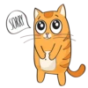 Puppy Kitte 8