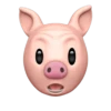 свинья 6