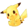 POKEMON 13
