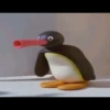 pingu 14