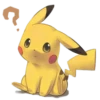 POKEMON 14