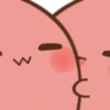 Potato 13