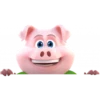 porco da tele sena ações 11