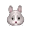 Memoji de coelho 5
