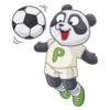 PandaS 13