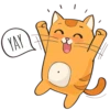 Puppy Kitte 10