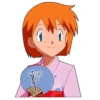PokemonFans 16