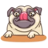 Pug Power 15