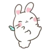 Pink Bunny 14