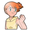 PokemonFans 17