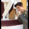 Pusse_Cat 18