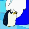 gunter 12
