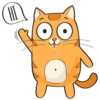 Puppy Kitte 12