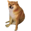 Perrito Sugoi 12
