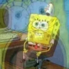 Sponge Bob 16