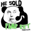 PandaElon 13