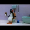 pingu 18