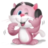 Pinkat 14