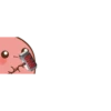 potato 20