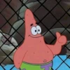 Patrick Star 14